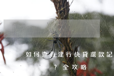 如何查看建行快貸還款記錄及明細(xì)？全攻略！